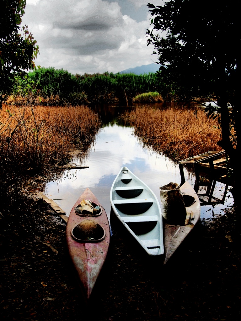 Tasik Chini - Kampung Cendahan